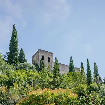 Le Zou Par Dodo-a-cassis *